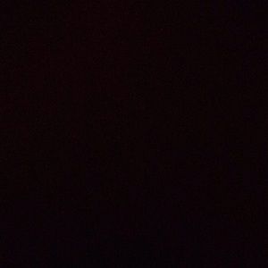 Meet your Posher, Ernie